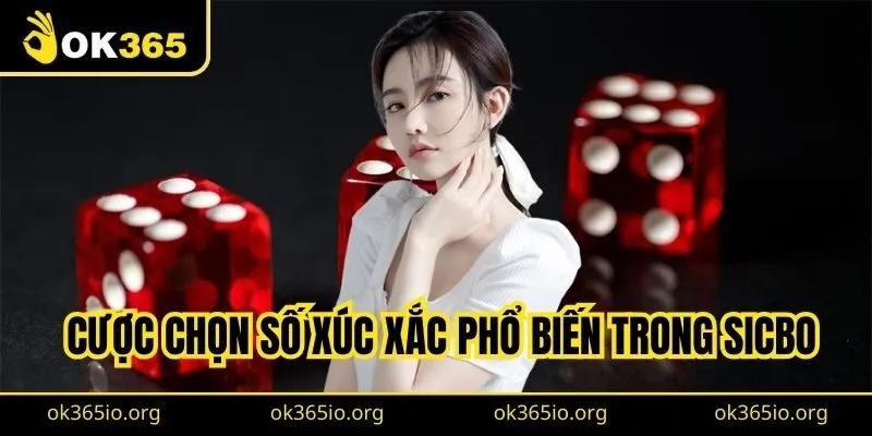 Sicbo Online: Trải Nghiệm Cá Cược Đầy Hồi Hộp Trên Nền Tảng Số 2 Cược chọn số xúc xắc phổ biến trong sicbo