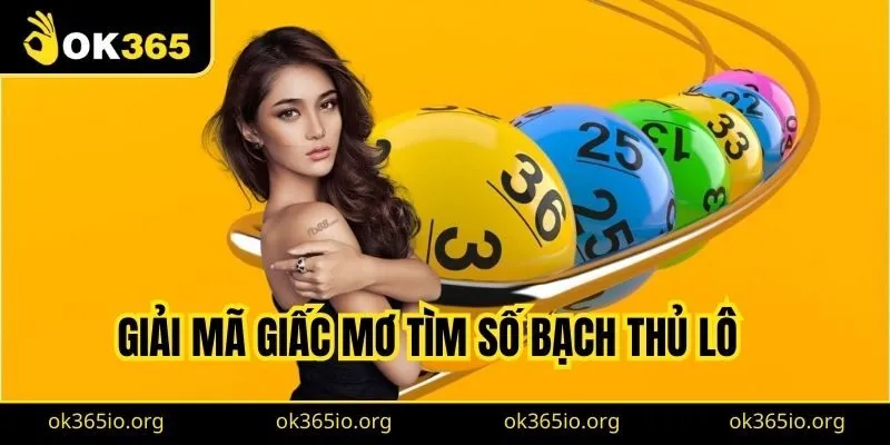 Bạch Thủ Lô Là Gì? Cách Chơi Bạch Thủ Lô Hiệu Quả Nhất 3 Giải mã giấc mơ tìm số bạch thủ lô