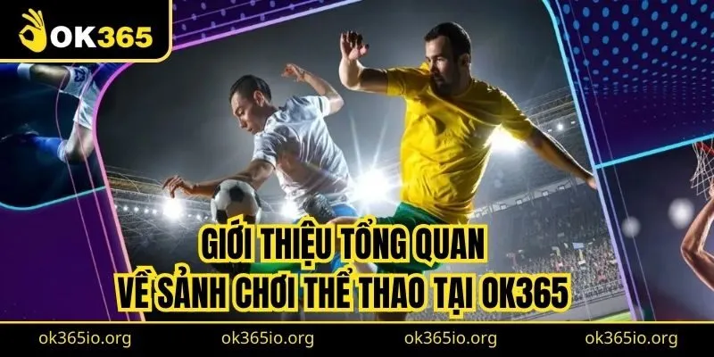Thể Thao Ok365 1 Giới thiệu tổng quan về sảnh chơi thể thao tại OK365