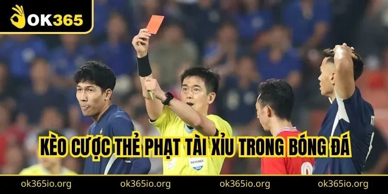Kèo Thẻ Phạt Là Gì? Kinh Nghiệm Cược Hay Dành Cho Newbie 2 Kèo cược thẻ phạt tài xỉu trong bóng đá