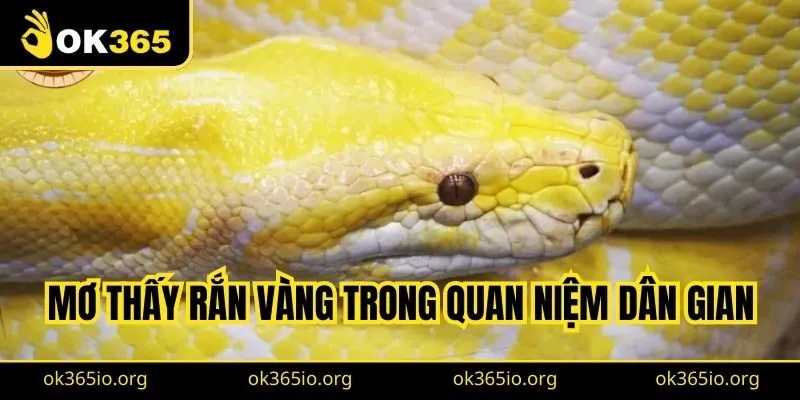 Mơ Thấy Rắn Vàng: Ý Nghĩa, Luận Số Mơ Chuẩn Từ Cao Thủ 1 Mơ thấy rắn vàng trong quan niệm dân gian là sự giàu có, quyền quý