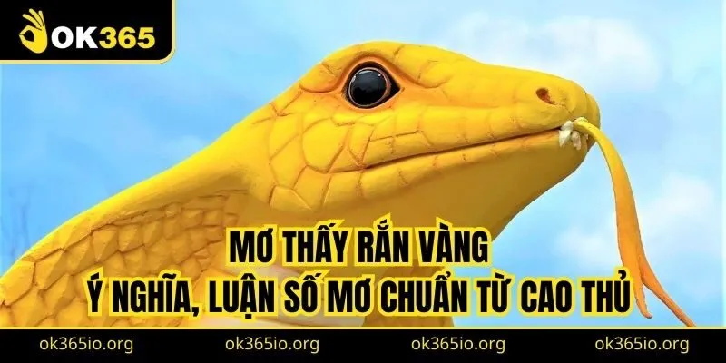 Mơ Thấy Rắn Vàng