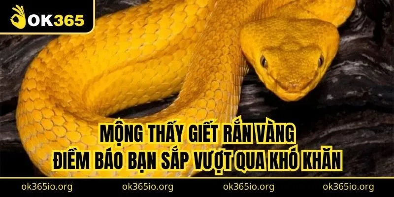 Mơ Thấy Rắn Vàng: Ý Nghĩa, Luận Số Mơ Chuẩn Từ Cao Thủ 2 Mộng thấy giết rắn vàng điềm báo về việc bạn sắp vượt qua khó khăn