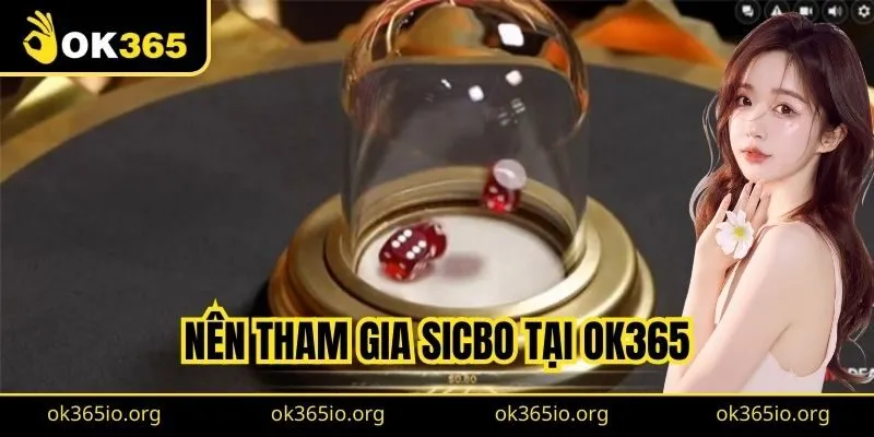 Sicbo Online: Trải Nghiệm Cá Cược Đầy Hồi Hộp Trên Nền Tảng Số 3 Nên tham gia Sicbo tại OK365